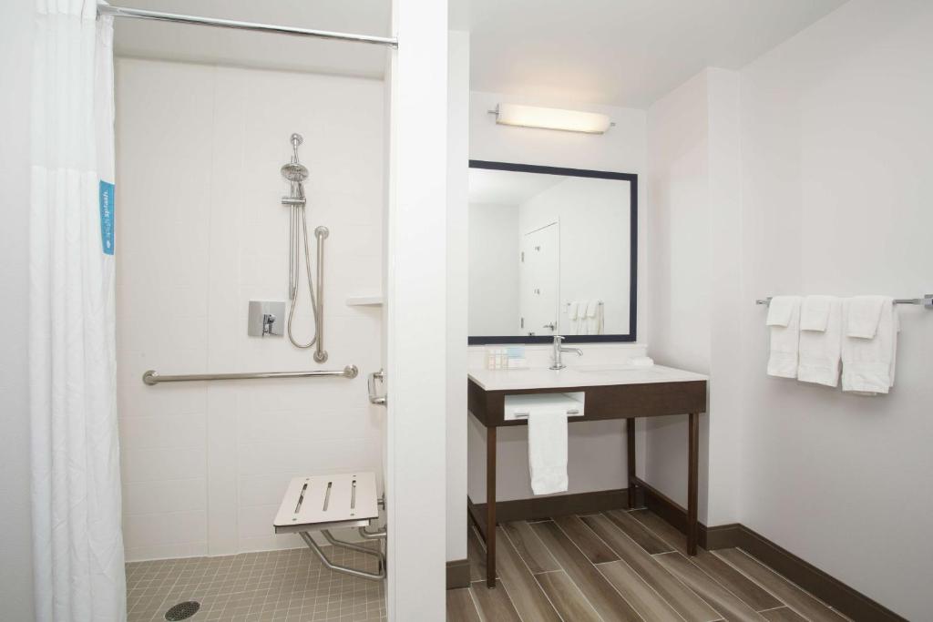 Hampton Inn & Suites Denver-Downtown En suite bathroom