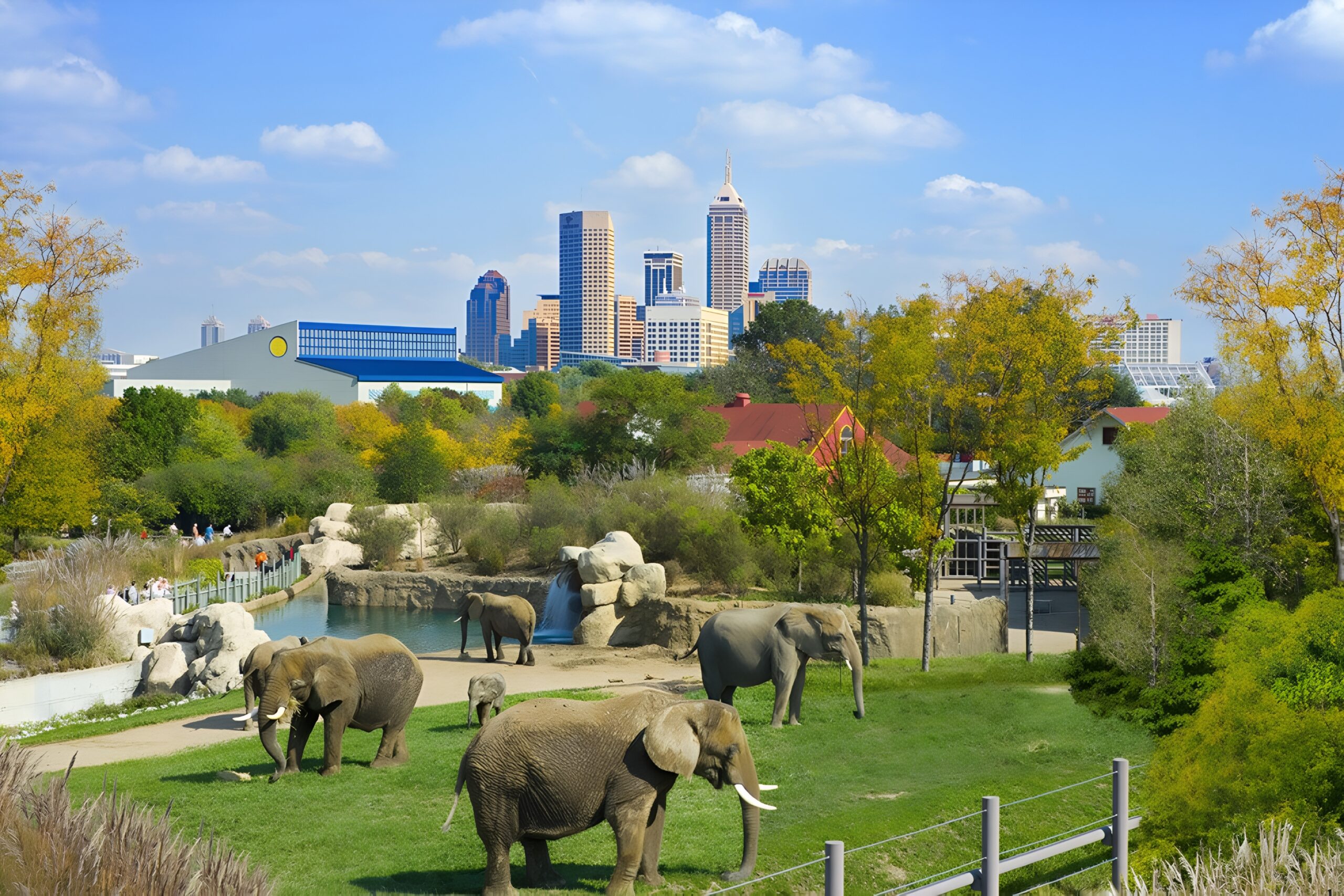 Denver Zoo with the city in the background